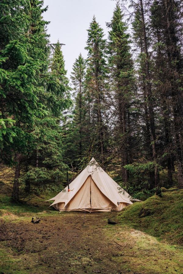 Golden Circle Tents - Glamping Experience Hotel Selfoss Bagian luar foto